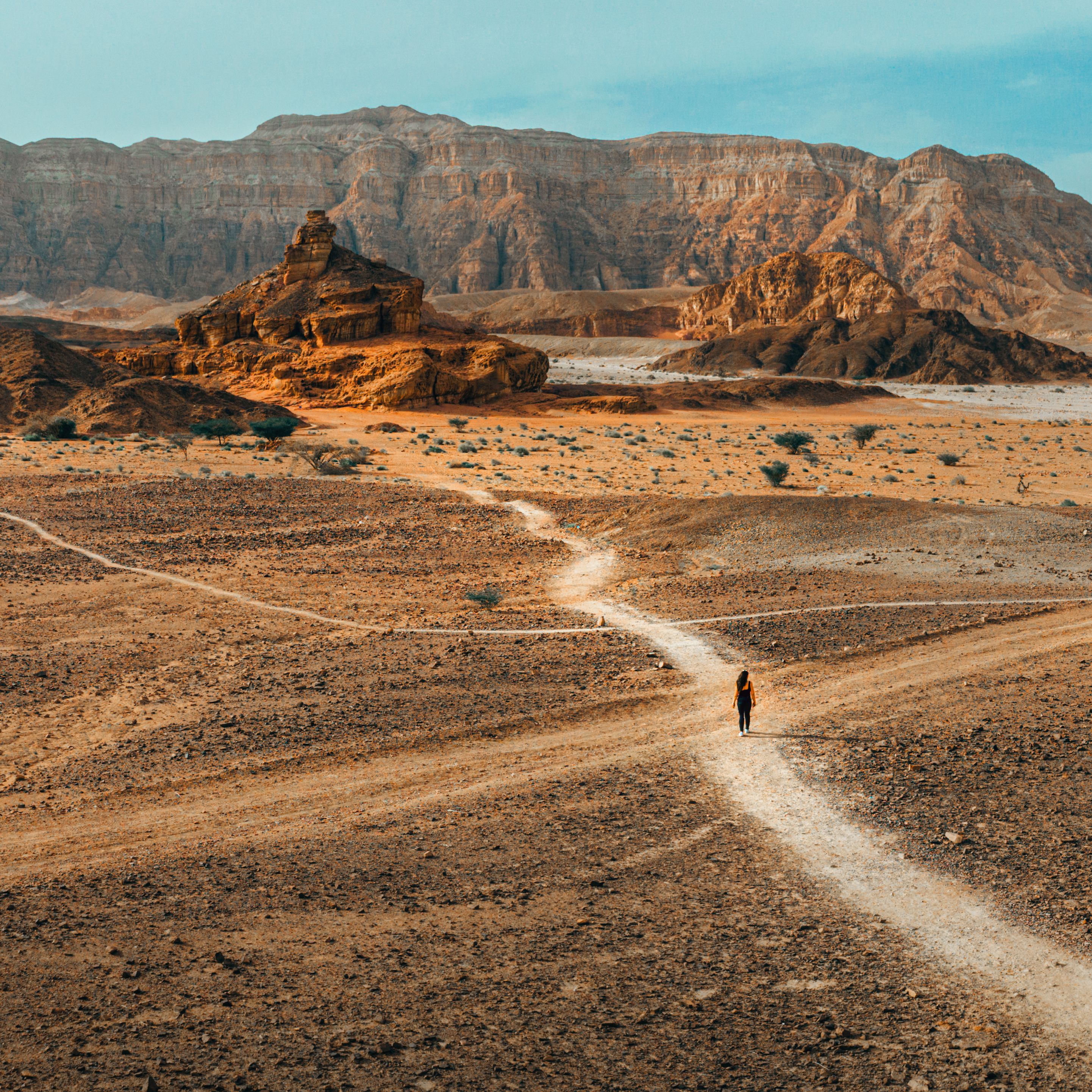Timna Park from a drone. Photo - courtesy of Timna Park_1